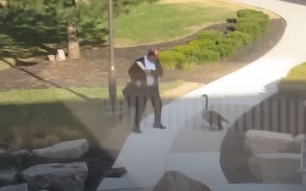 Man encounters Canadian goose on his way into the office, hilarity ensues