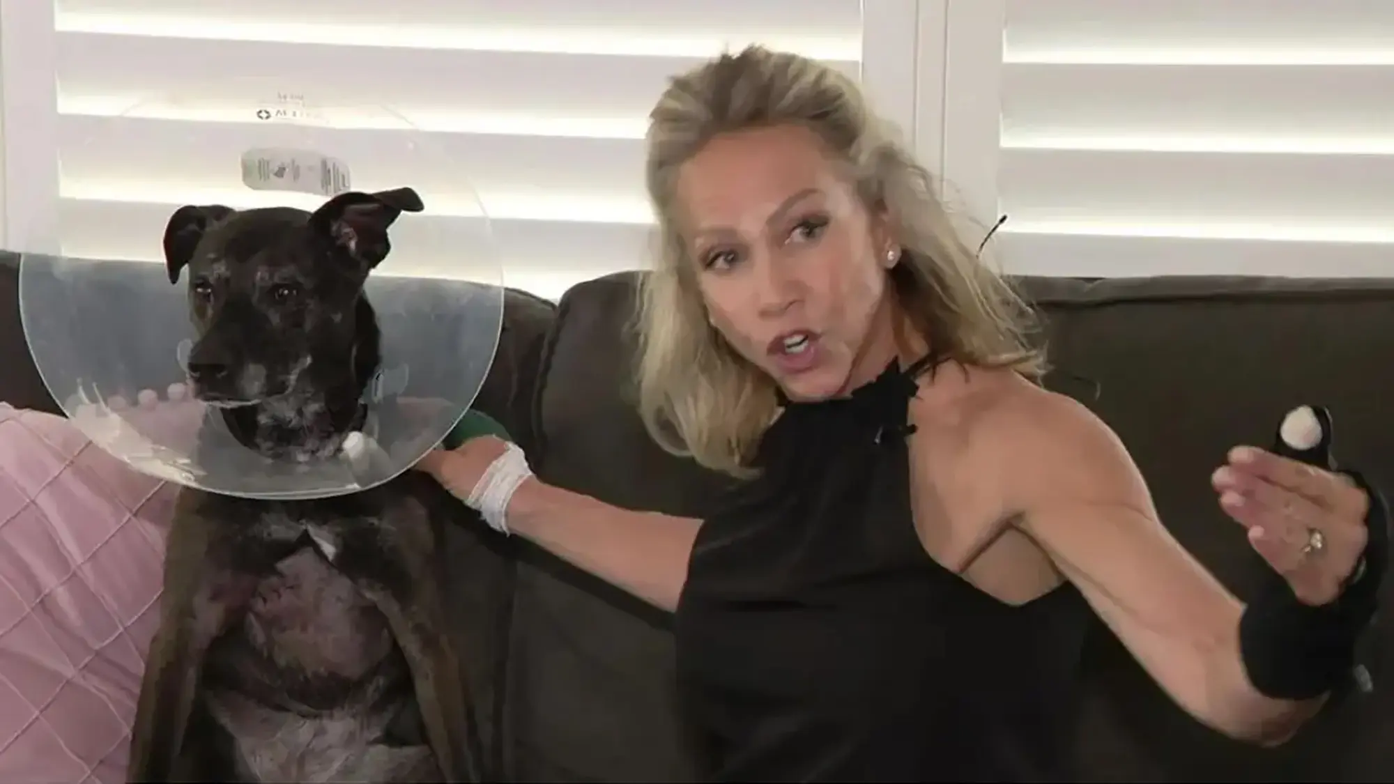 Florida Woman Fights Off Gator to Save Her Dog in Daring Rescue [WATCH]