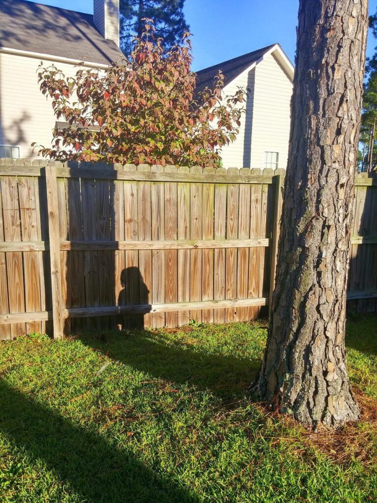 15+ Children Who Are the Absolute Masters of Hide and Seek
