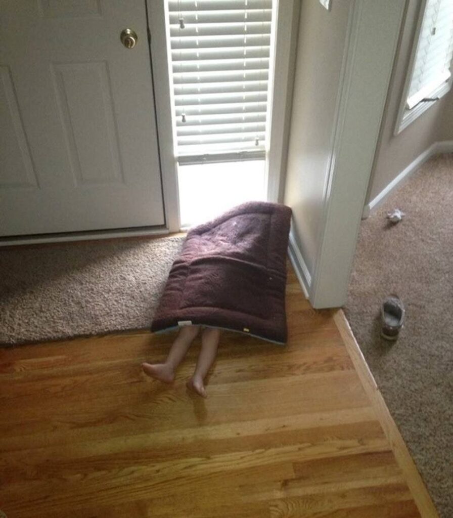 15+ Children Who Are the Absolute Masters of Hide and Seek