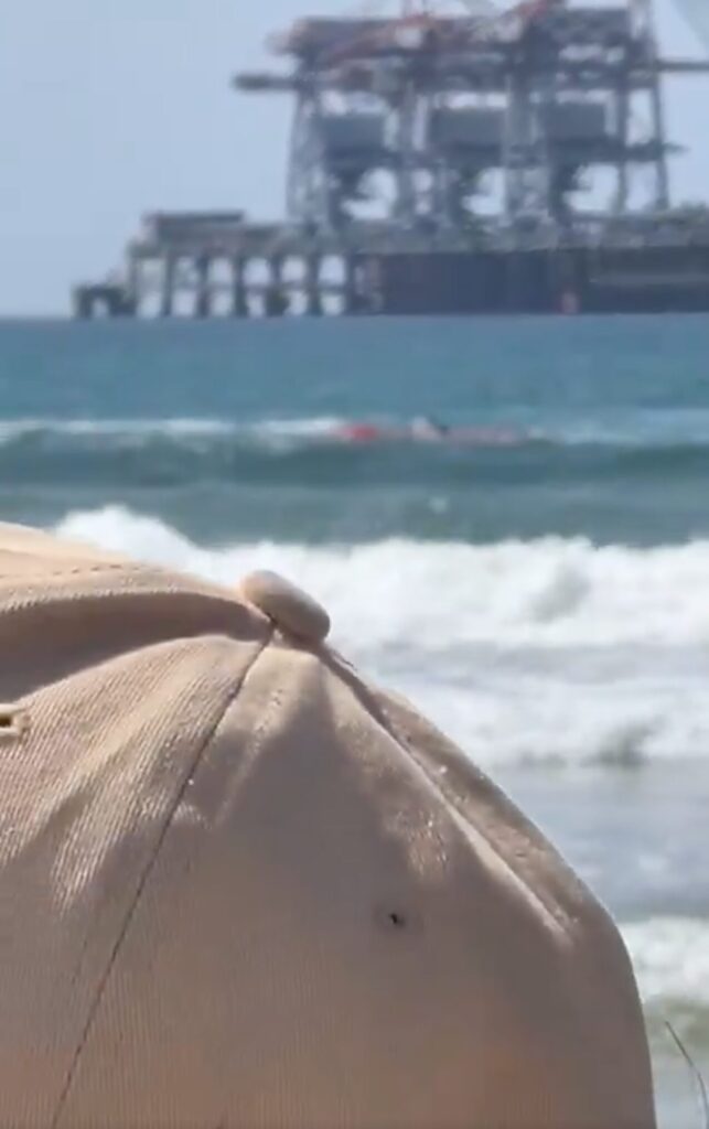 Beachgoers Watch in Terror as Diver is Killed Screaming 'They’re biting me!' in Rare Shark Attack [WATCH]