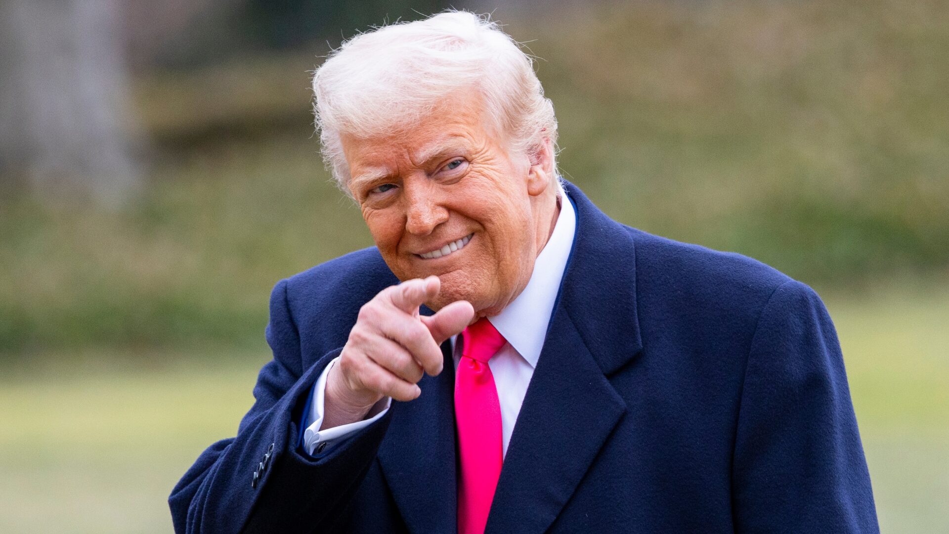 Donald Trump Tariffs Targeted by Director Who Then Admits He Doesn’t Understand Them [WATCH]