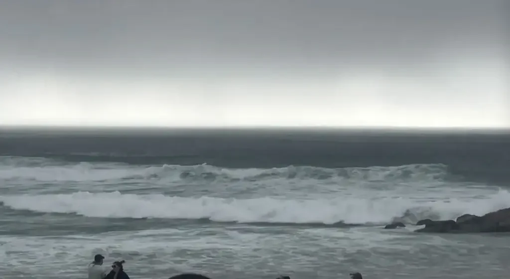 Beachgoers Scramble in Panic as Rare 'Tsunami Roll' Hits Portugal Coast – 'Out of a movie!' [WATCH]