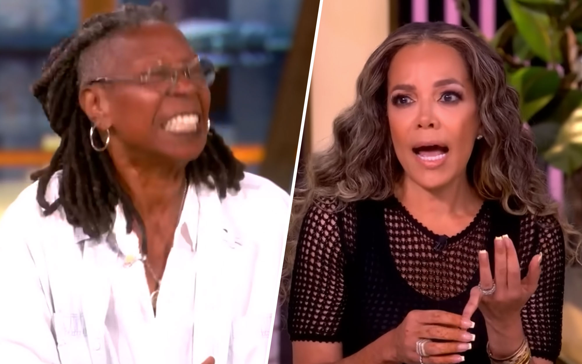 Watch as The View Relentlessly Batters Trump – ‘He Doesn’t Believe in the Constitution’