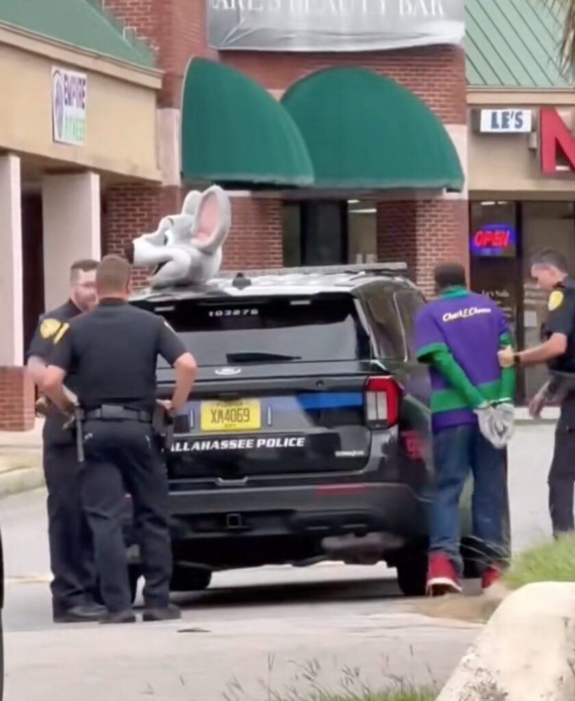 Big House for the Mouse: Chuck E. Cheese Mascot Shamelessly Arrested at Florida Restaurant for Credit Card Fraud [WATCH]