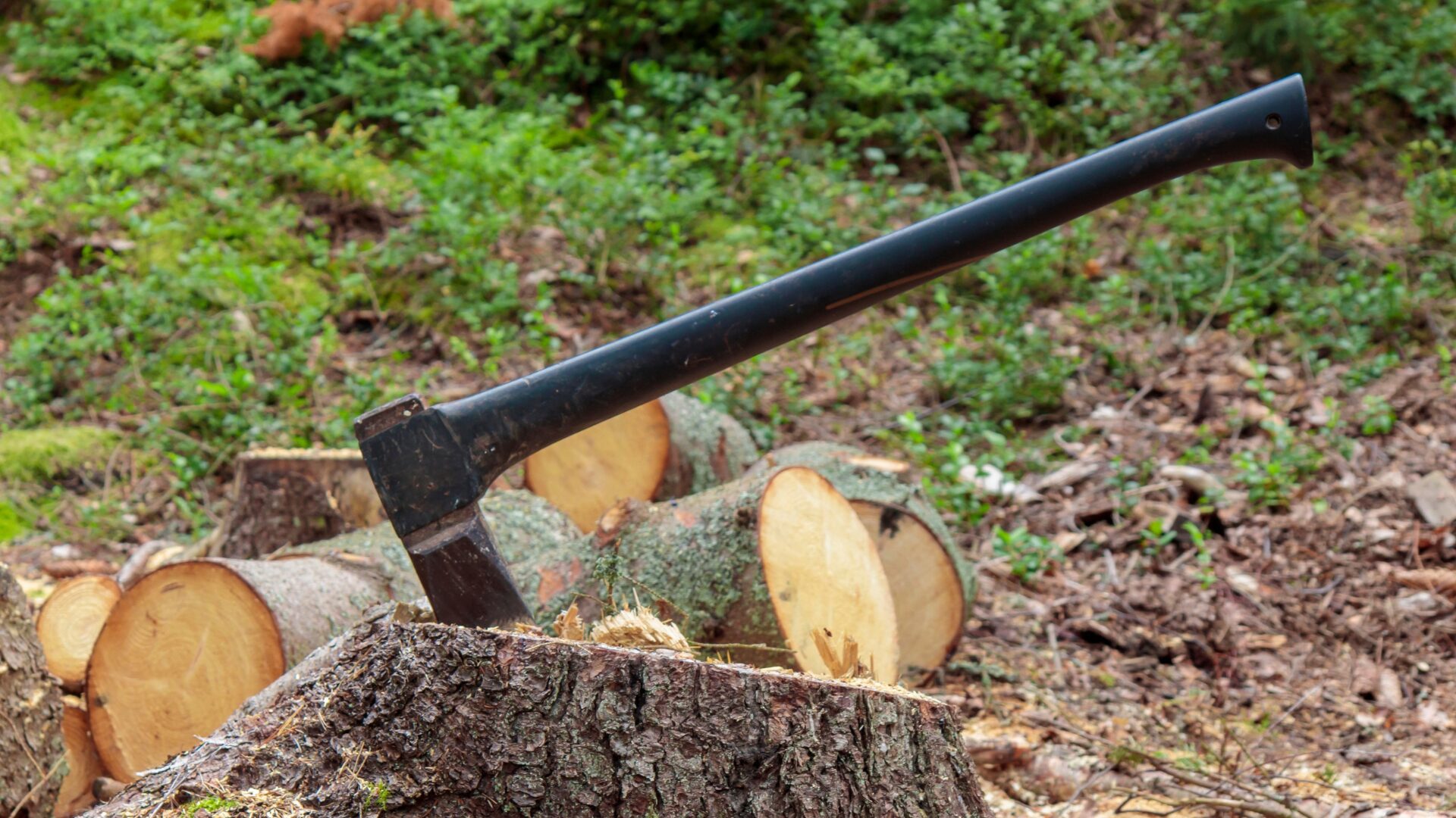 ‘Golden Bachelor’ Star Accused of Making Disturbing Comment to His Ex-Wife [WATCH]