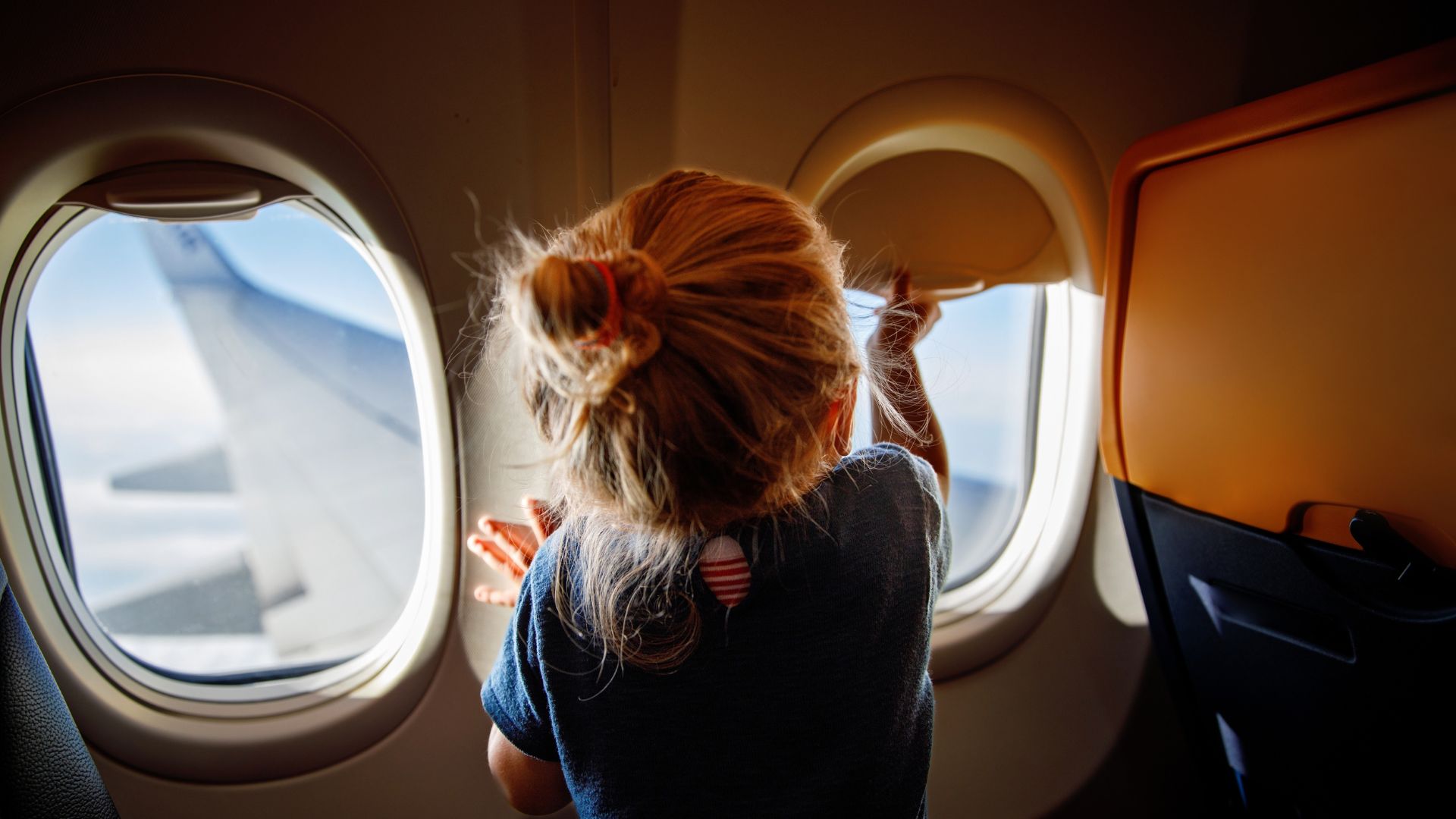 Viral Airplane Fight Over Window Shade Splits the Internet [WATCH]